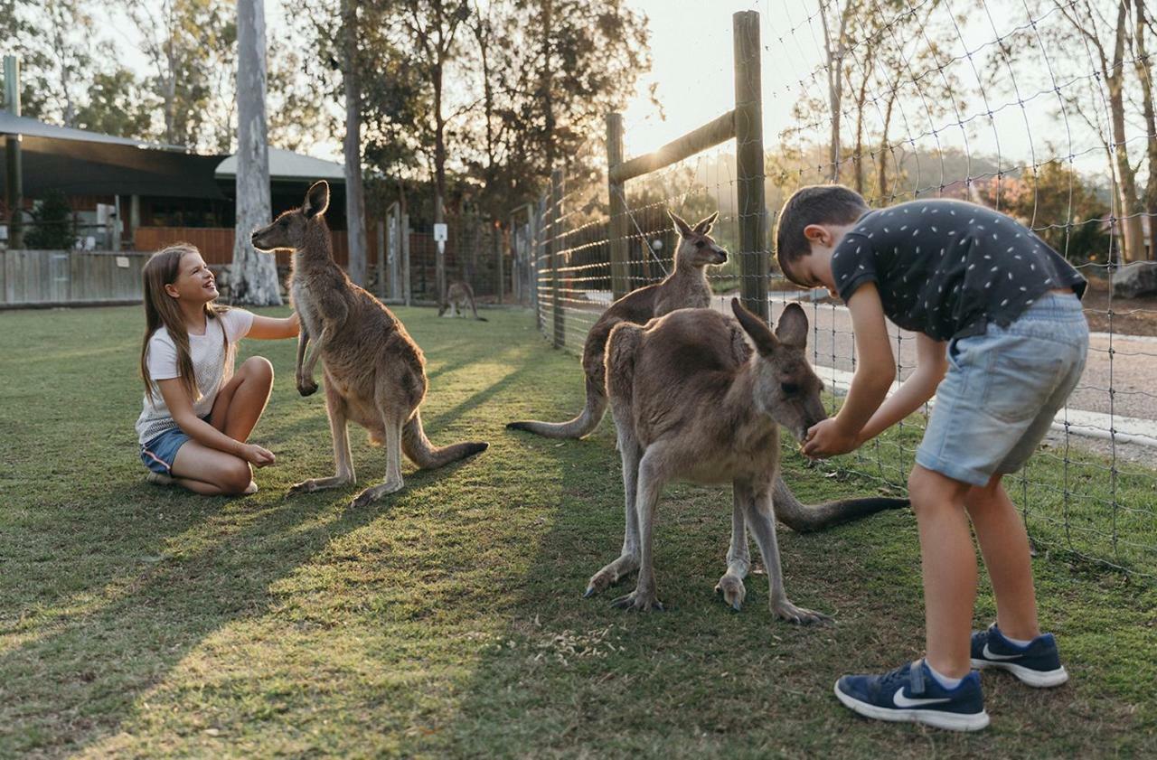 Paradise Country Farmstay Gold Coast Esterno foto